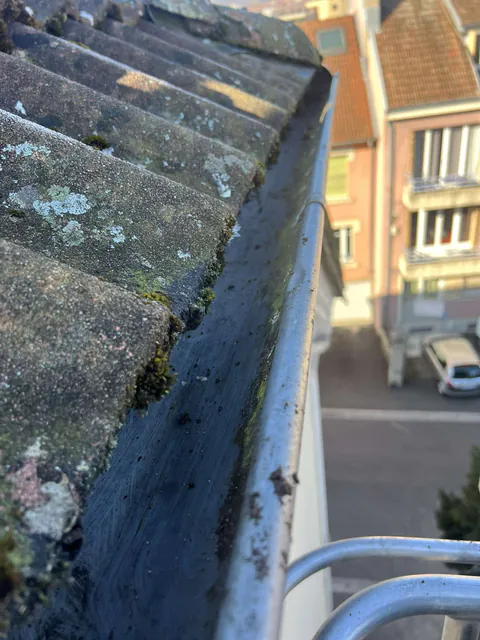 Nettoyage de gouttières à Belfort