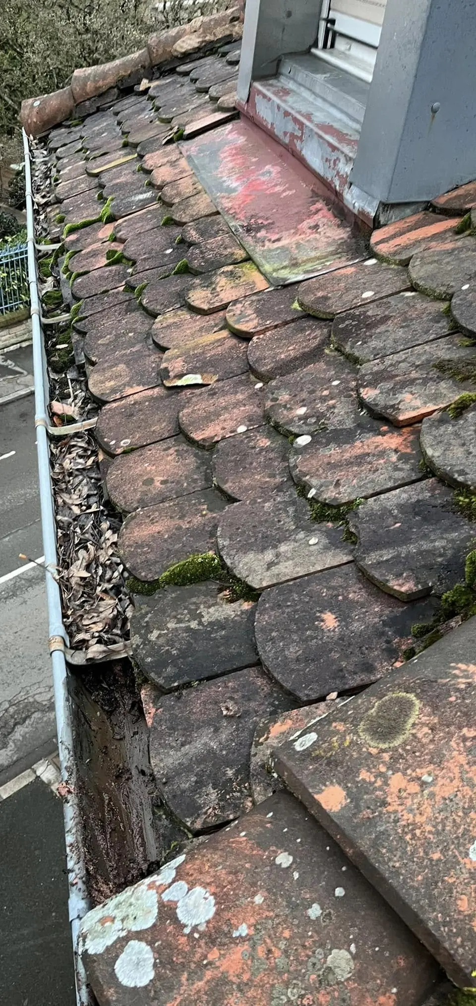 Nettoyage de gouttières, Remplacement de tuiles à Belfort